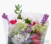 cwf_no_prices_valentine022008.gif